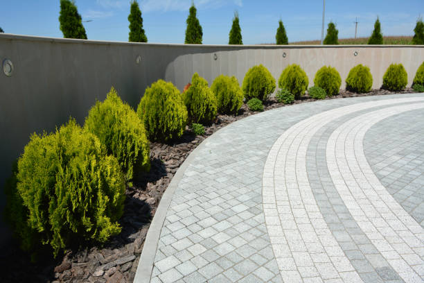 Best Residential Driveway Paving in Buena Vista, CO