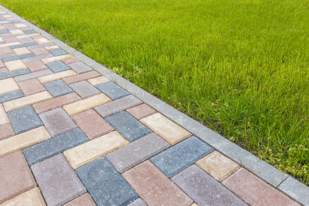 Best Custom Driveway Design and Paving in Buena Vista, CO